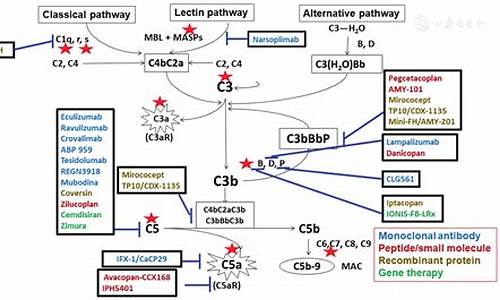 complement_complementary